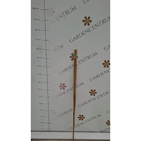 Tutori din bambus în pepiniera noastră. 