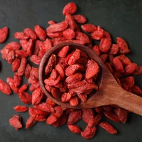 Lycium barbarum - Goji