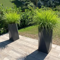 Iarbă chinezească plantată într-un ghiveci pe o terasă modernă. 