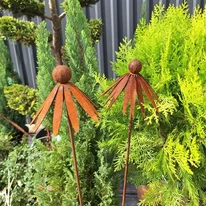 Decorațiuni de grădină din metal patinat, în formă de echinacea, disponibile în pepiniera noastră.