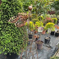 Decorațiuni din metal ruginit, în formă de siluetă de mărar în pepiniera noastră. 