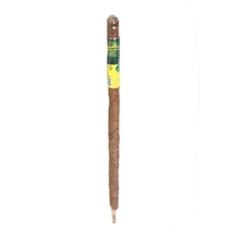 Tutor de cocos de 100 cm. 