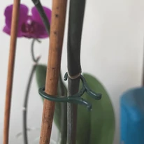Utuilizarea clemelor pentru fixarea plantelor. 