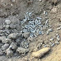Granule de îngrășământ organic Fertikal în groapa de plantare.