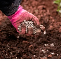 Împrăștierea îngrășământului organic Fertikal.