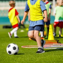 Amestec de semințe de gazon Stadion sport Agro-Largo 1 kg