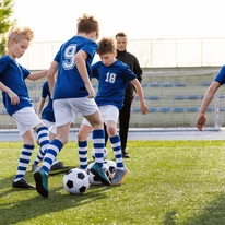 Amestec de semințe de gazon Stadion sport Agro-Largo 10 kg