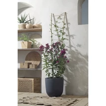 Scăriță suport plante din bambus 120 cm, utilizat în interior. 