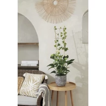 Scăriță pentru plante, cu înălțimea de 90 cm. 