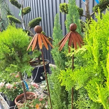 Decorațiuni de grădină din metal patinat, în formă de echinacea, disponibile în pepiniera noastră.