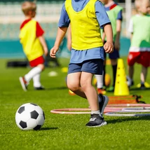 Amestec de semințe de gazon Stadion sport Agro-Largo 1 kg