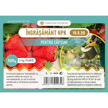 Îngrășământ NPK Gardencentrum pentru căpșuni