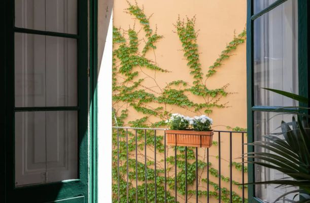 Balcon orientat spre sud, cu flori la ghiveci