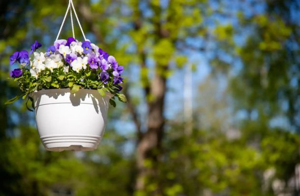 Ghivece suspendate și flori pe balcon