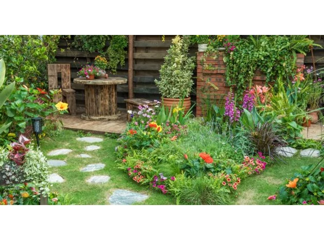 Plante perene care înfloresc din primăvară până în toamnă