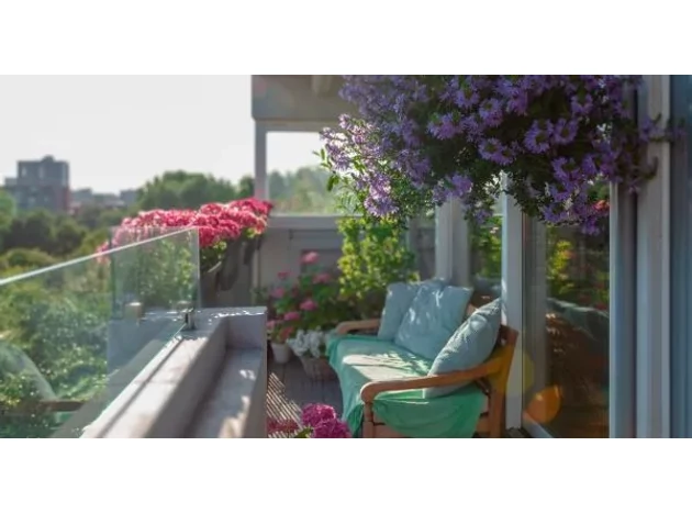 Plante rezistente la căldură pentru balcon, care suportă chiar și cele mai fierbinți zile de caniculă