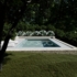 Imagine 7/7 - Hortensii paniculate plantate lângă o piscină, plan vizual. 