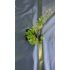 Imagine 5/6 - Cotoneaster târâtor la ghiveci. 