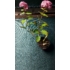 Imagine 2/11 - Hortensia arbustivă Pink Annabelle la ghiveci toamna.
