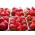 Imagine 4/8 - Fructe de căpșuni Albion.