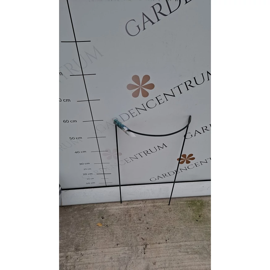 CHELSEA suport plante semicircular 30 x 60 cm în pepiniera noastră. 