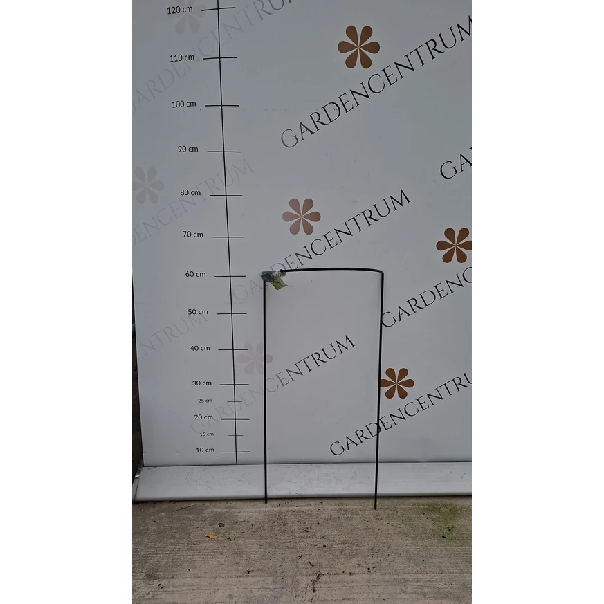CHELSEA suport plante semicircular 30 x 60 cm, la Gardencentrum. 