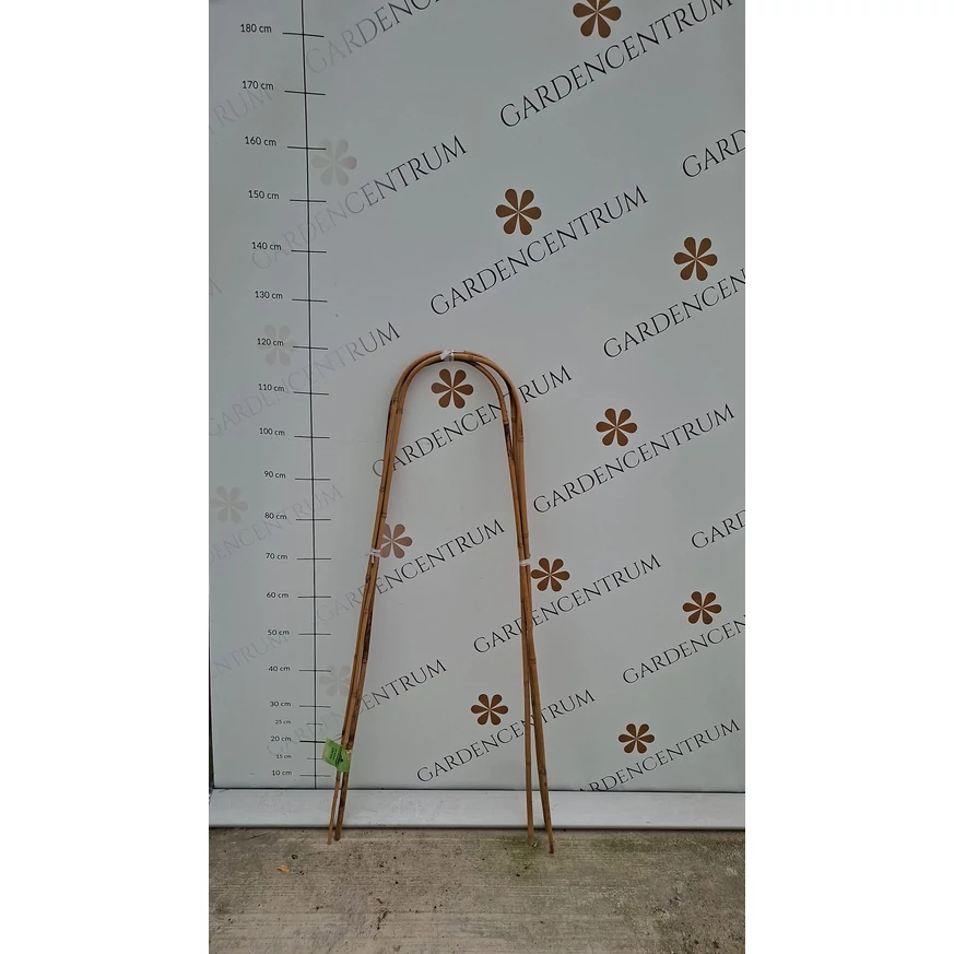 Tutor de bambus arcuit, set de 3buc, 120 cm