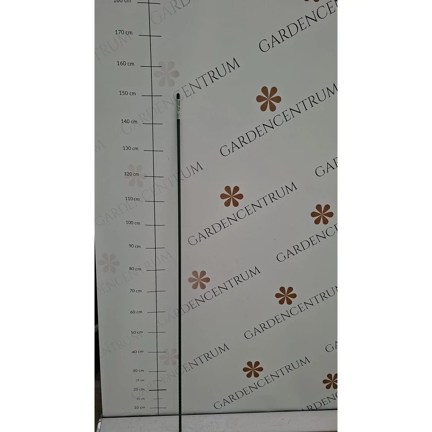 STEEL PLAST Tutor din oțel cu înveliș din plastic 15,5 mm x 2,1 m în pepiniera noastră. 