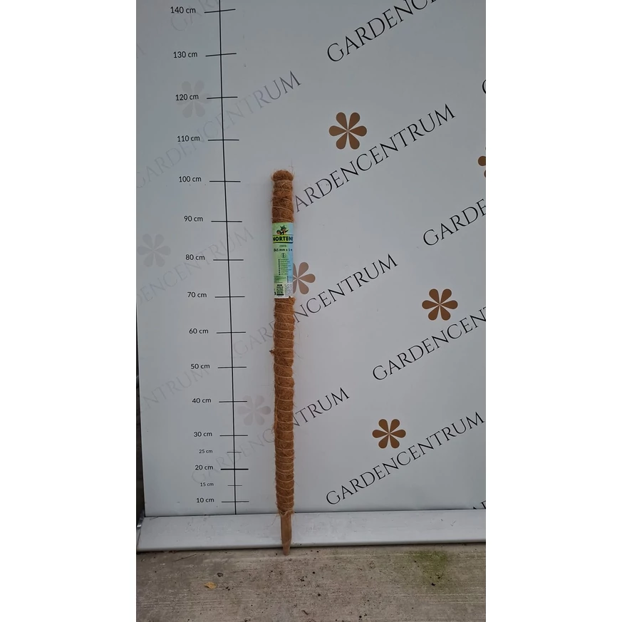 Tuteur coco - Tutor de cocos 100 cm în pepiniera noastră. 