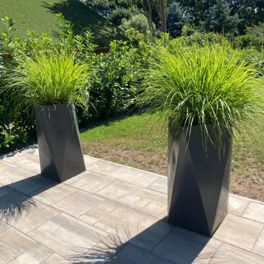 Iarbă chinezească plantată într-un ghiveci pe o terasă modernă. 