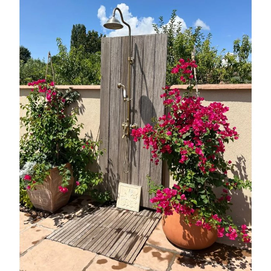 Bougainvillea, sau floarea de hârtie, preferă și locurile din apropierea apei.