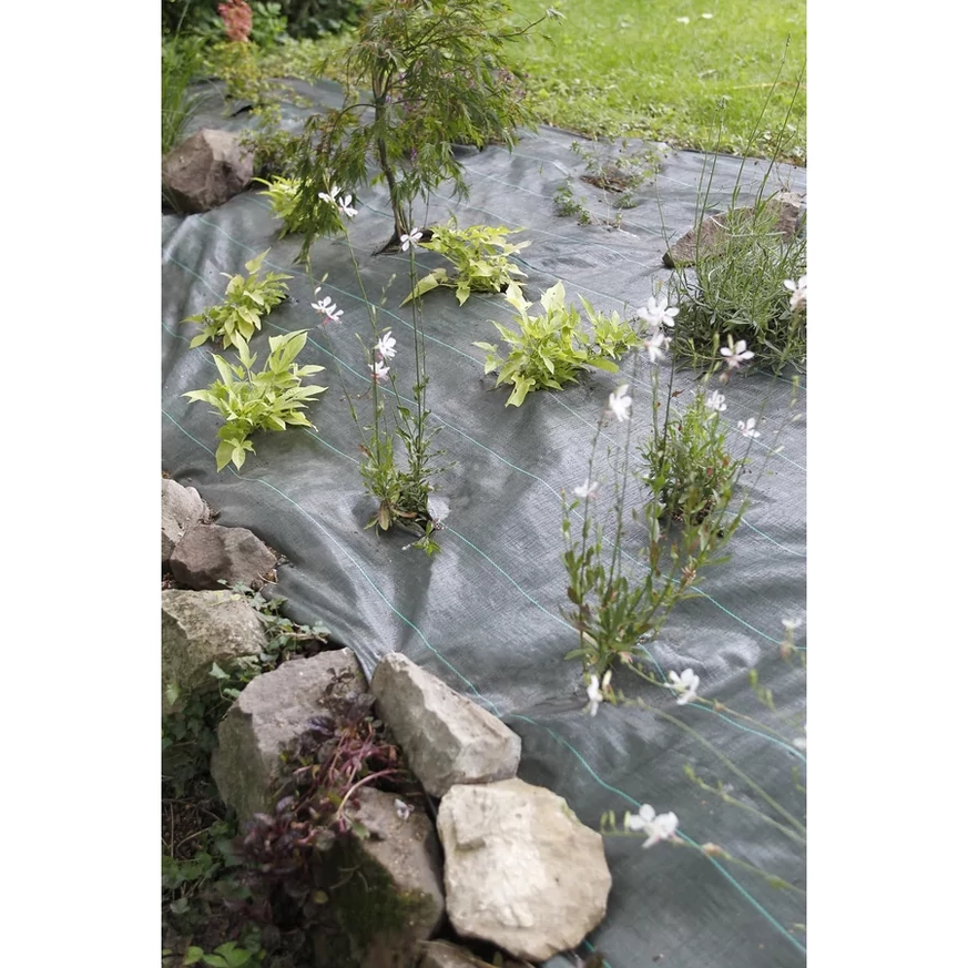 Realizarea unui strat de plante perene cu ajutorul produsului COVERSOL. 