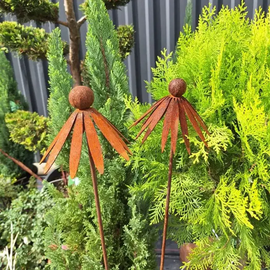Decorațiuni de grădină din metal patinat, în formă de echinacea, disponibile în pepiniera noastră.