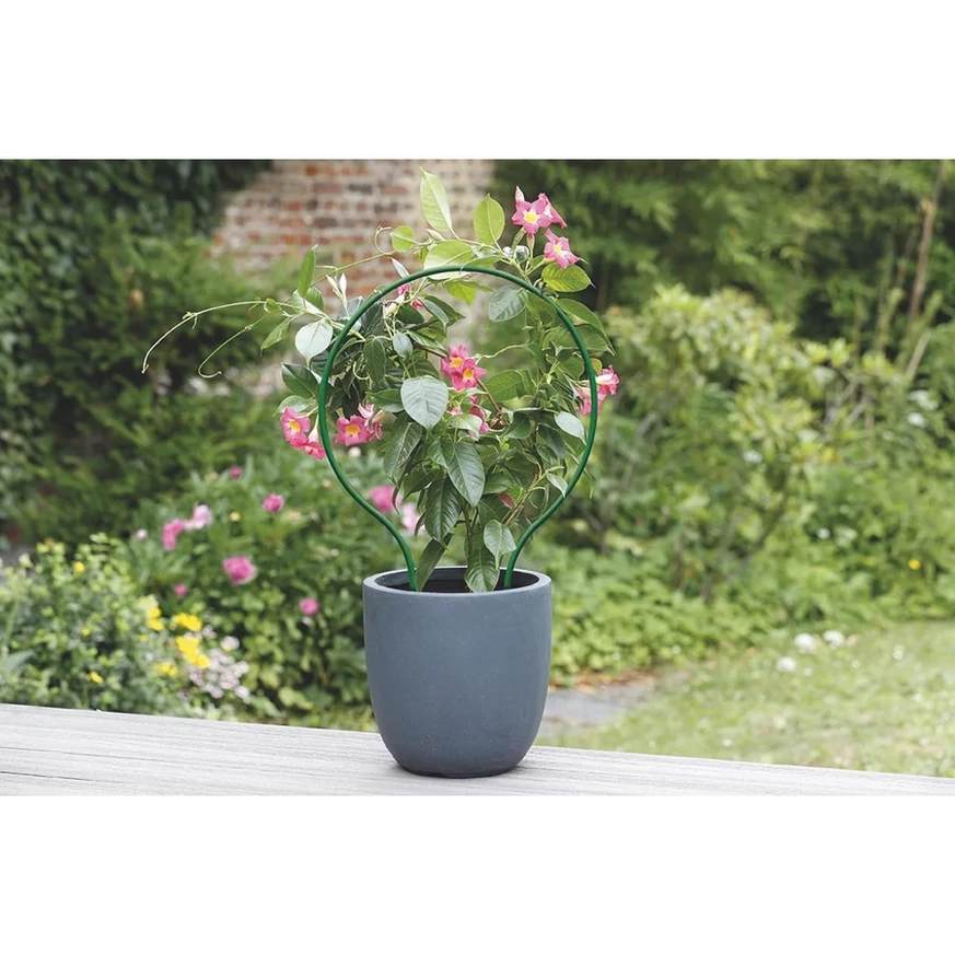Utilizarea suportului curbat PLAST ARC pentru plante cățărătoare în ghiveci.
