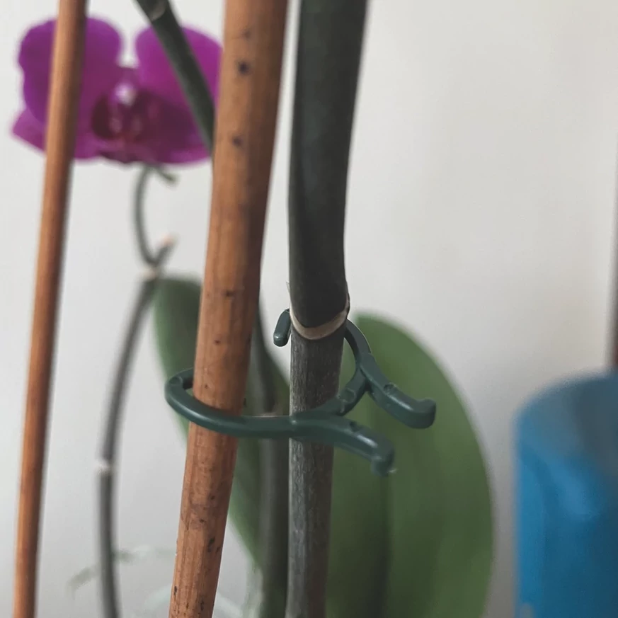 Utuilizarea clemelor pentru fixarea plantelor. 