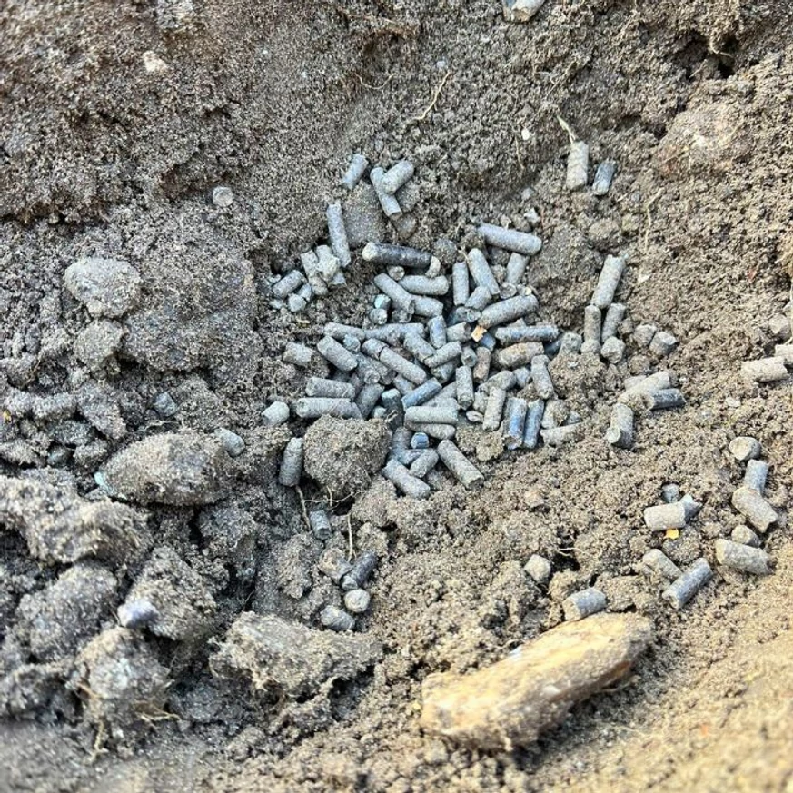 Granule de îngrășământ organic Fertikal în groapa de plantare.