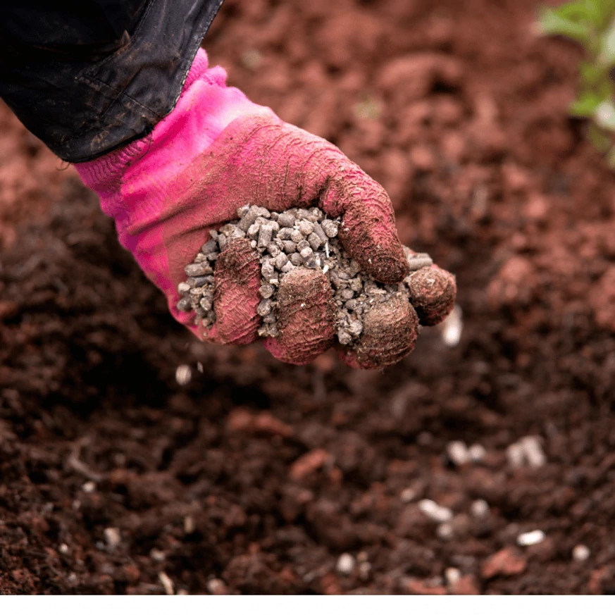 Împrăștierea îngrășământului organic Fertikal.