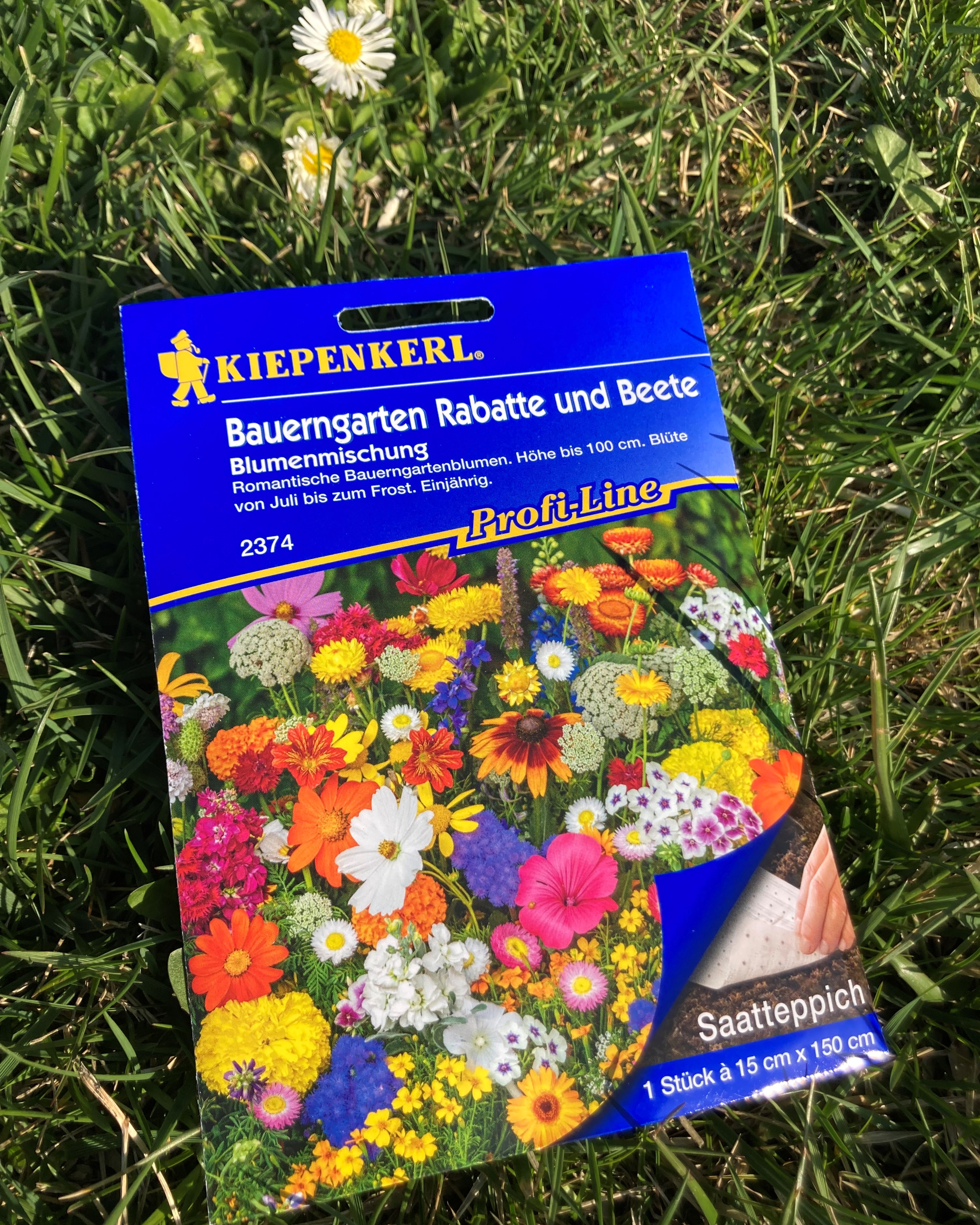 Amestec de semințe covor de flori de grădină KIEPENKERL