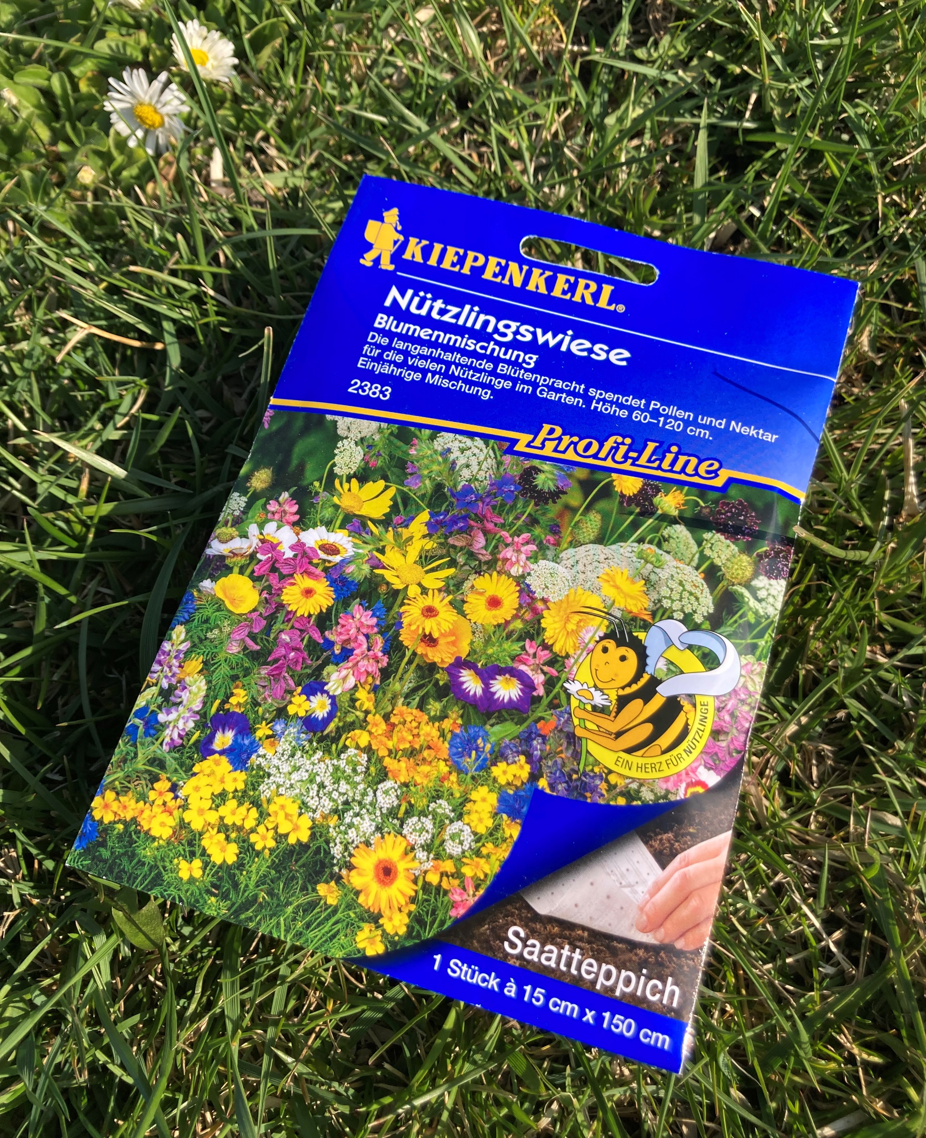 Covor cu amestec de semințe flori de pășune pentru albine KIEPENKERL